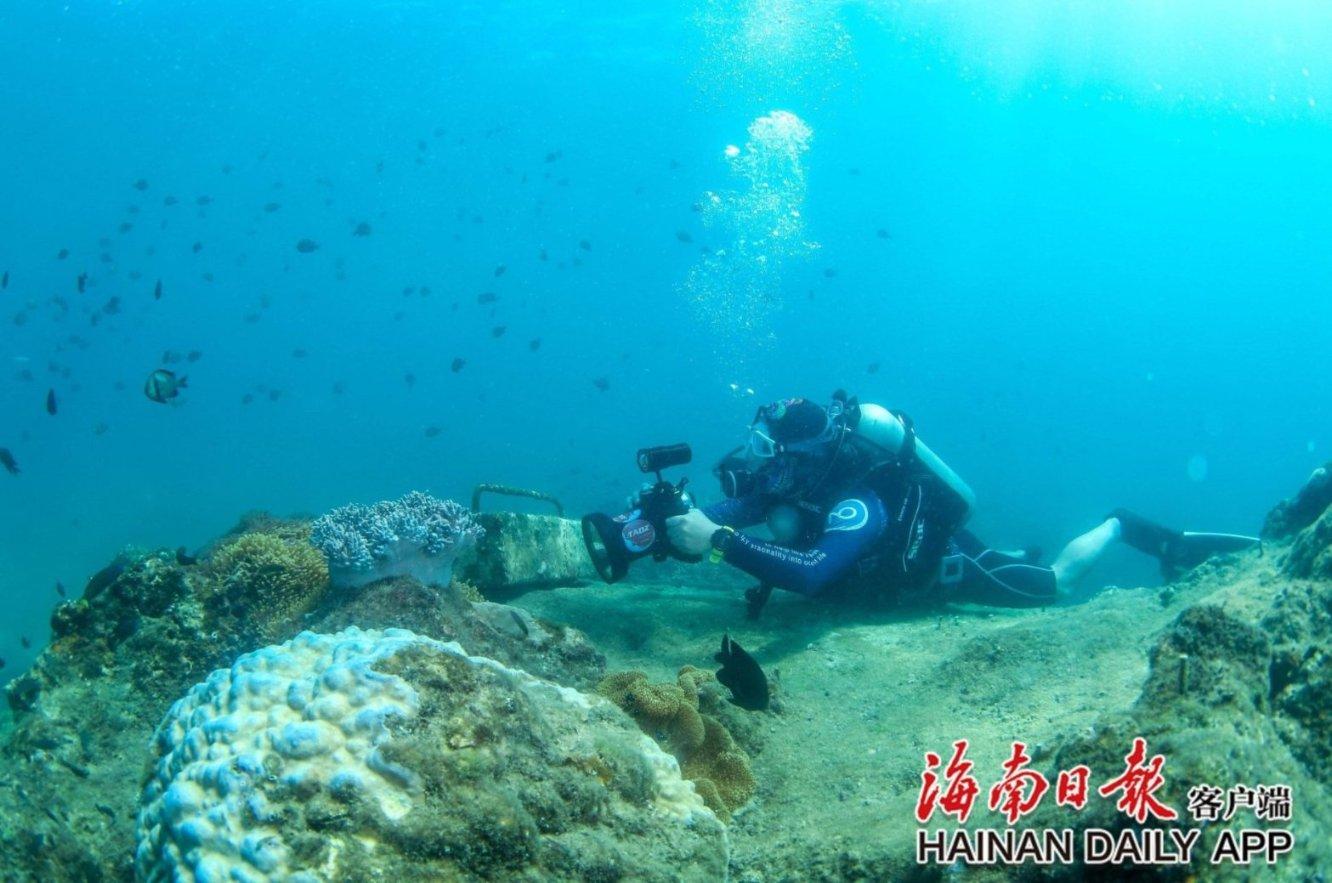 小仙女大逃脱