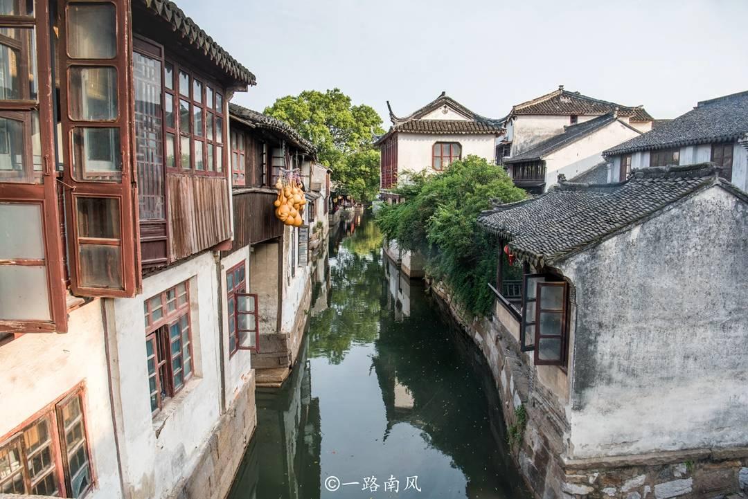蜜蜂救援